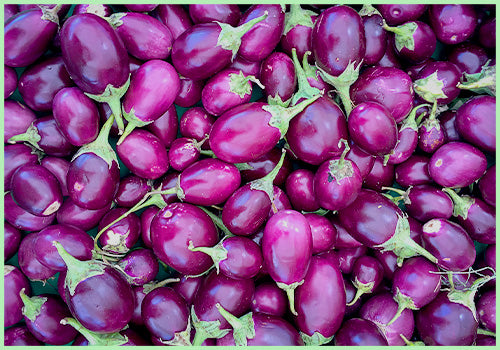 Brinjal